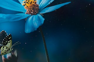 4k wallpaper ios and android 2025 nature