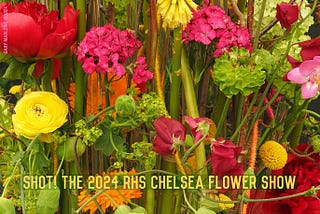 Shot! The 2024 RHS Chelsea Flower Show