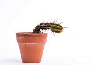 How Long Does Temporary Erectile Dysfunction Last?