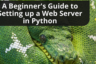 Creating a Python Web Server: From Basic to Advanced