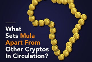 WHAT SETS MULA APART FROM OTHER CRYPTOS IN CIRCULATION?