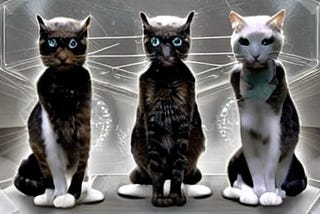 The Great Cat Council Part 1: Meet the council!