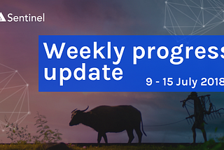 📝 Weekly Progress Update — 9 to 15 July 2018