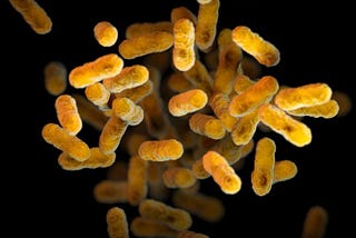 Pertussis: the other vaccine-preventable respiratory disease that we can’t get rid of.