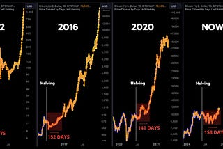 How high can Bitcoin get this bull run?