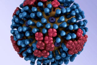 A 3D Model of the influenza virus