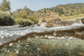 How to Pick General Attractor Fly Fishing Patterns for Spring Conditions