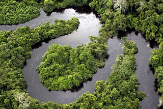 El nuevo acuerdo REDD de Perú con Noruega, Alemania, Reino Unido y Estados Unidos.