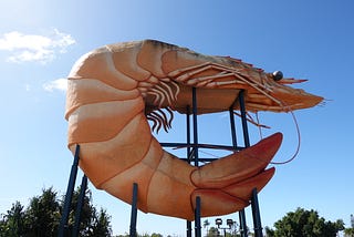 Keep Your Eye On The Ballina
