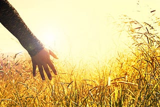Mastering Anxiety: Strategies for a Calmer Mind