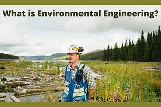 Best Environmental Engineering Schools in the World