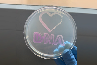 3D Printing Bacteria, It Smells! 🦠