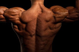 Sculpted shoulders — the best exercise for the rear delts