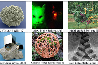 On the Origin of Synthetic Life