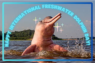Dive in! It’s Freshwater Dolphin Day!
