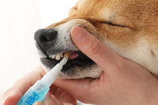 Dog Teeth Cleaning Kit: An Essential Pet Product for Dogs