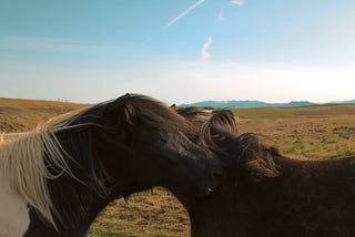 Cars didn’t give horses an identity crisis. Why would Machine Learning do that to Humans?