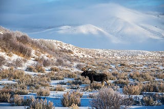 Father and Son Wyoming Winter Road Trip. Cherished Moments.