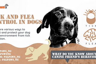 Tick and flea control in dogs