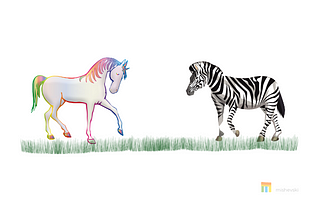 Why do we need more zebra companies instead of unicorn companies?