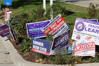 International observation promotes transparency in U.S. elections