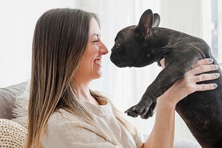 Healthy grain-free food for French Bulldogs