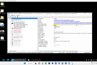 Malware Analysis Report: Phobos Ransomware