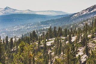 Florence Lake: Reuniting With the High Country