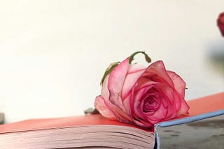 In the Lonely Hours by Shannon Morgan | Book Review