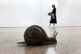 Escaping the Snail’s Pace - How TikTok Taught Me the Snail Theory and a Lesson in Living