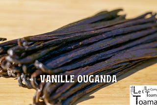 How The Price Of Vanilla Is Set