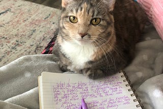 I Asked Chat GPT to Analyze My Writing