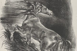 drawing of horse rearing