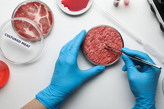 Cos’è la carne sintetica e perché non dovremmo chiamarla sintetica