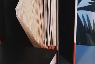 L’uomo con il libro
