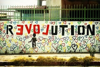 The Evolution of Revolution