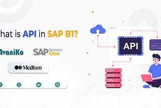 What is api in sapb1 ? Avaniko