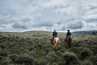 Podcast Ep. #9: The Story of Texas Land Trends