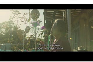 (10/52) Los tiempos del señor son sabios