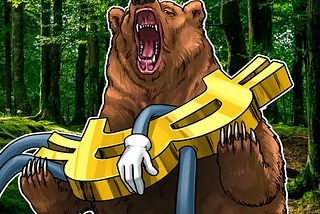 How to Invest in a Crypto Bear Market