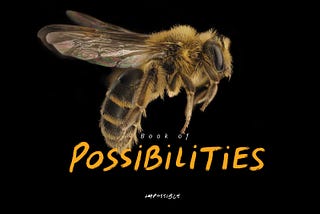 Book of Possibilities: your guide to creating the future