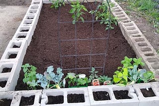 Cinderblock garden