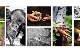 ¿Cómo podemos acercar la agricultura ecológica al consumidor?