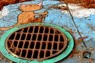 Puppy Trapped in Storm Drain