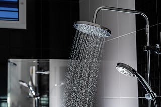 Shower Head With Hose