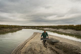 On The Water: Oyster Farming On The Georgia Coast