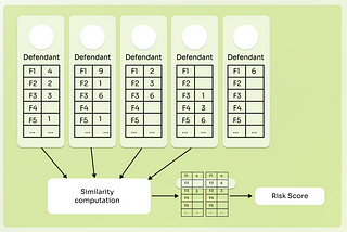 Recidivism Prediction Pitfalls: An explanation through Collaborative Filtering