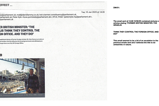 Witness statement by Domino Moore, Peter Kyle’s caseworker