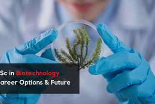 BSc in Biotechnology | Career Options and Future