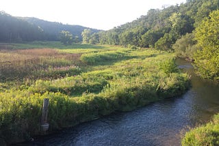 Eagles and Trout